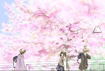 深入了解 秋葵丝瓜黄瓜草莓向日葵秋葵榴莲污